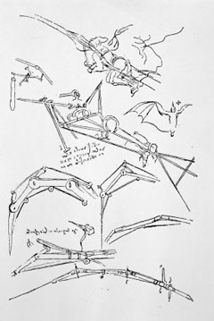 Sketches of Flying Machines